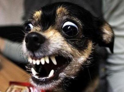 IMG_8949.jpeg?itok=owYTjVCp