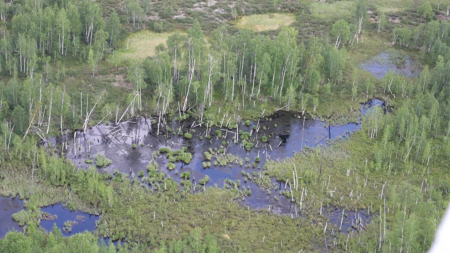 Тайна Тунгусского Феномена. Кто или что? (продолжение)