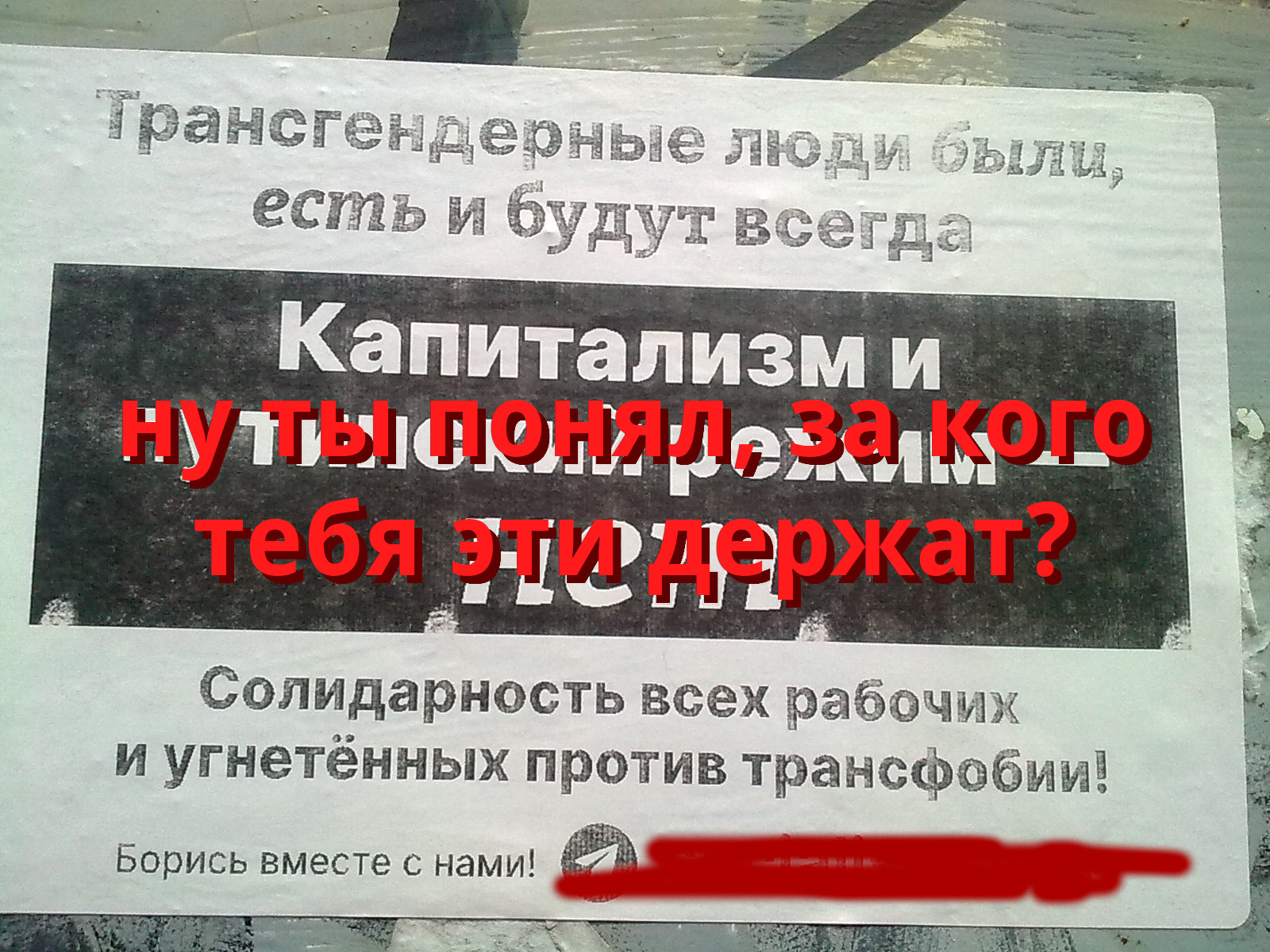 лето 2023, фонарный столб, Москва