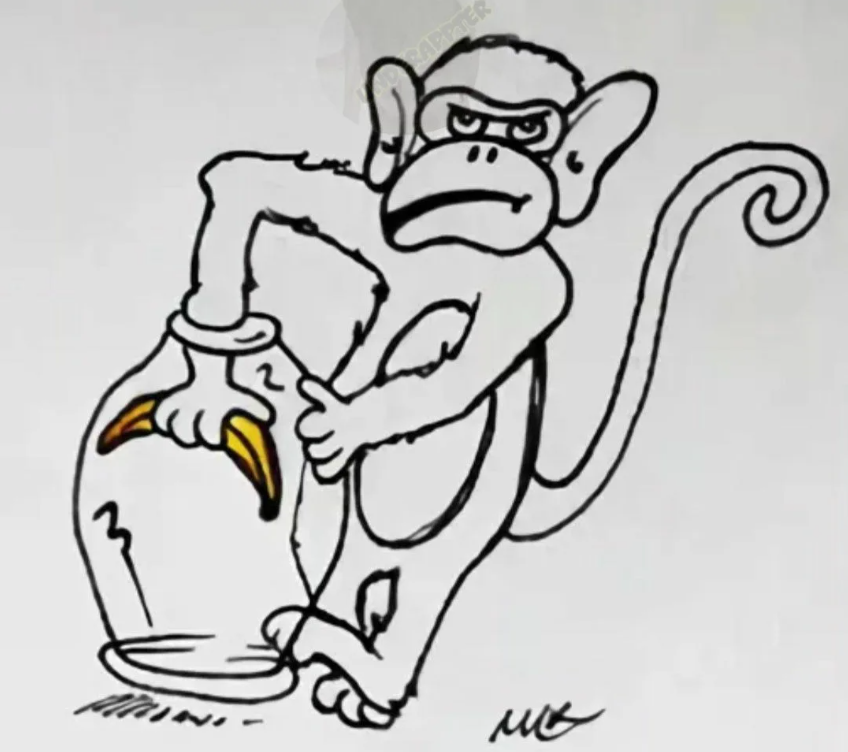 Хлопот мартышке полон рот. Как поймать обезьяну. ЛОВУШКА для обезьян. Обезьяна и кувшин. Обезьяна с бананом в кувшине.