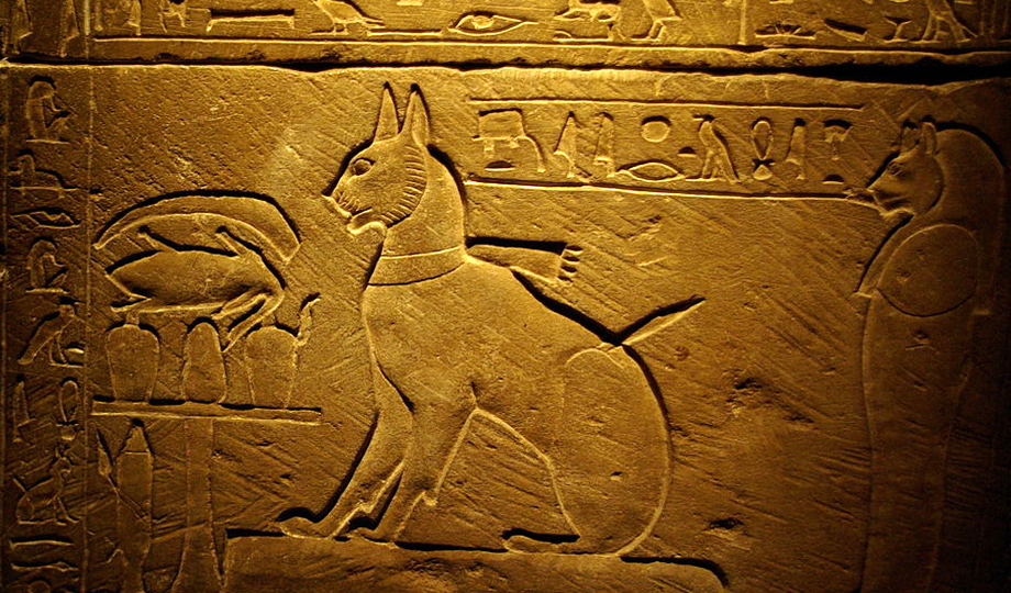 Фото кошки с саркофага Тутанхамона