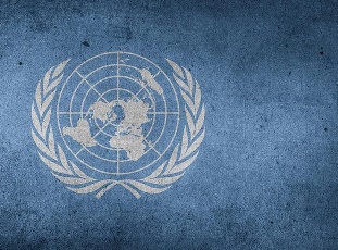 Организация Объединённых Наций и Управляемое сокращение населения (Владимир Маслов)