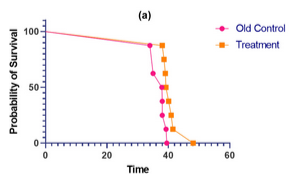 Выживаемость крыс по группам