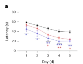 Кратковременный эксперимент. Время сбегания из водного лабиринта Морриса. Тазик с водой и потайной платформой для выпрыгивания