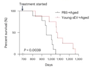 Долговременный эксперимент. Выживаемость мышей по группам