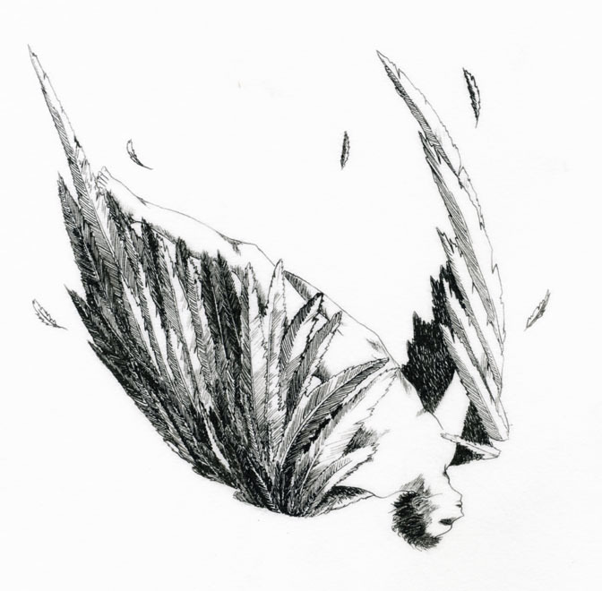 птица сломанные крылья