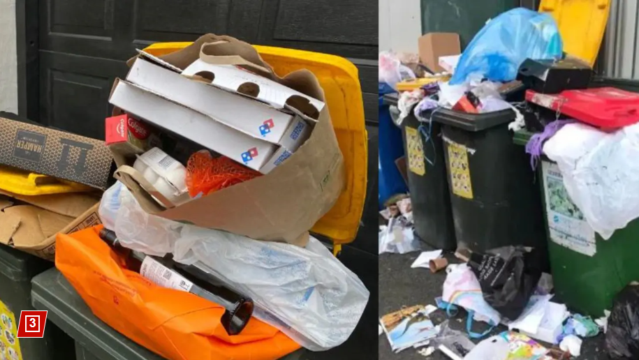 Инженер2010 • Мусорный кошмар. Пригороды Сиднея кишат крысами и личинками