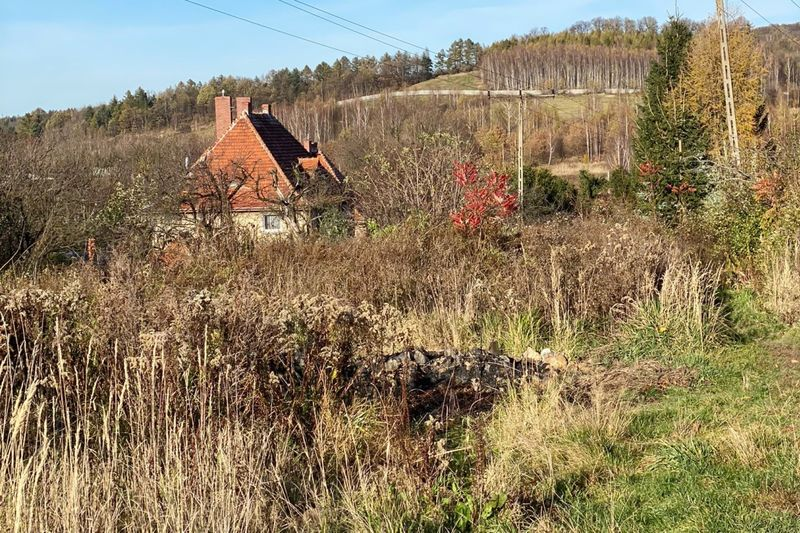 Инженер2010 • Польша покрывается кустарными “шахтами бедняков ...