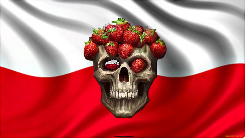 Польские перспективы (свернутое, в блог) (ugluk)