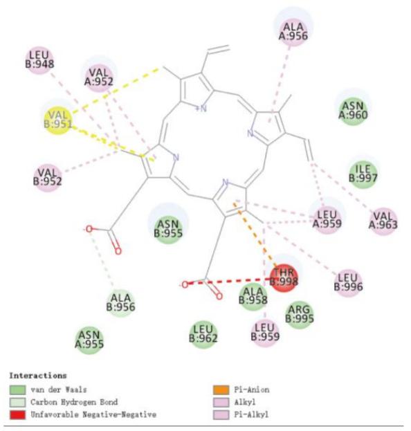 Результат молекулярного докинга (компьютерного моделирования) взаимодействия вирусного гликопротеина с гемоглобином. Сверху — структура вирусной молекулы, снизу — схема межмолекулярных взаимодействий / © Liu & Li, 2020