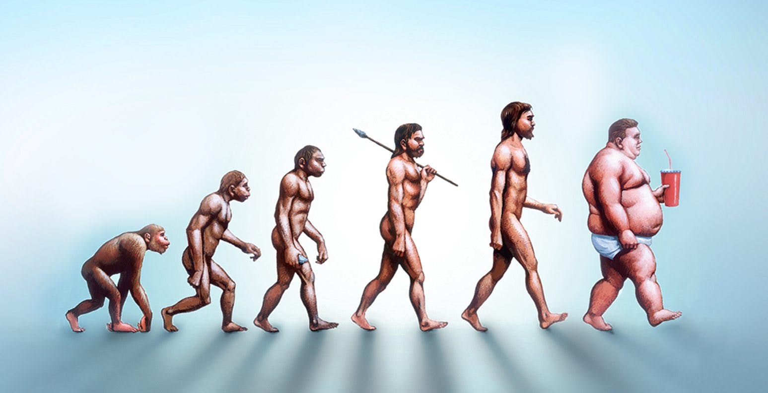 Эволюция слабые сильные. Эволюция человека хомо сапиенс. Человек от обезьяны до человека. Эволюция от обезьяны до человека. Обратная Эволюция человека.
