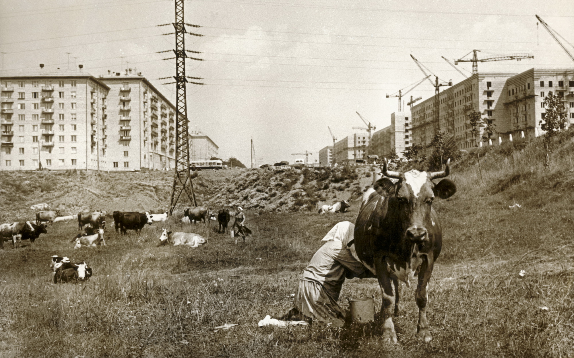 В советское время на территории. Ленинский проспект 1950. Район Черемушки 60-е. Ленинский проспект 1959. Деревня Черемушки Москва.