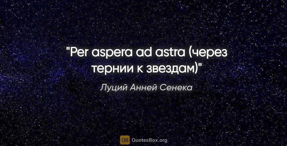 В смысле через. Через тернии к звездам цитата. Per aspera ad Astra через тернии к звездам. Через тернии к звездам надпись. Через тернии к звездам афоризм.