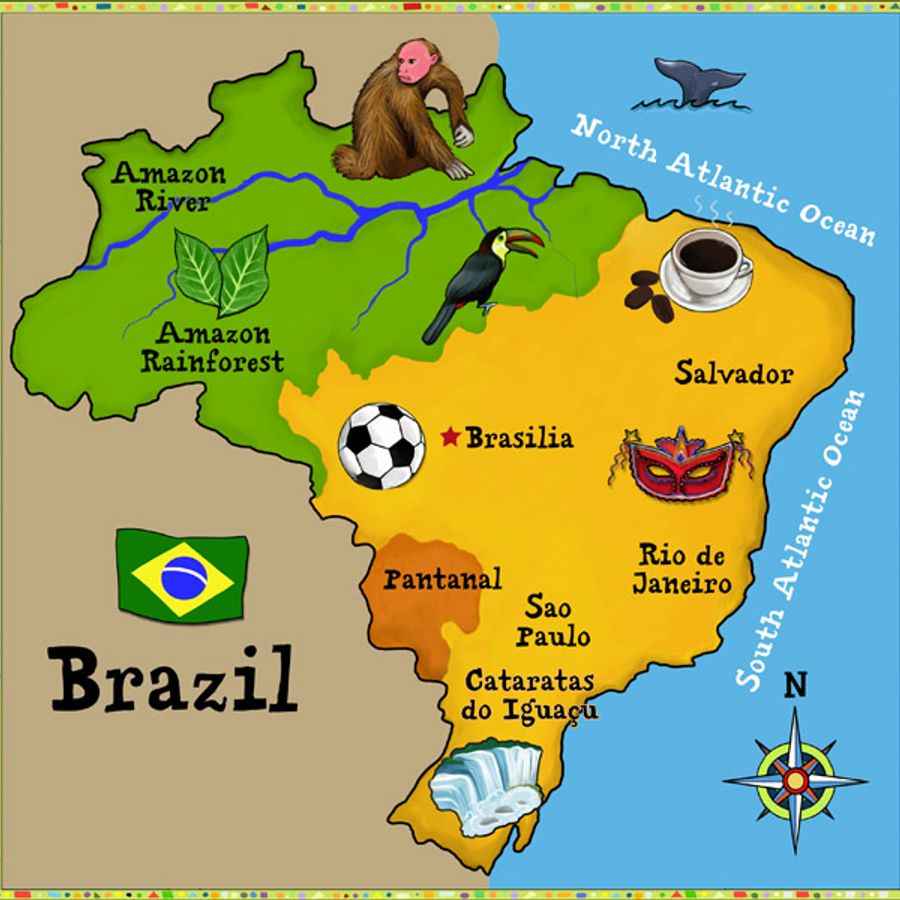 Бразилия - записки профессора (перевод) (АлексМел)