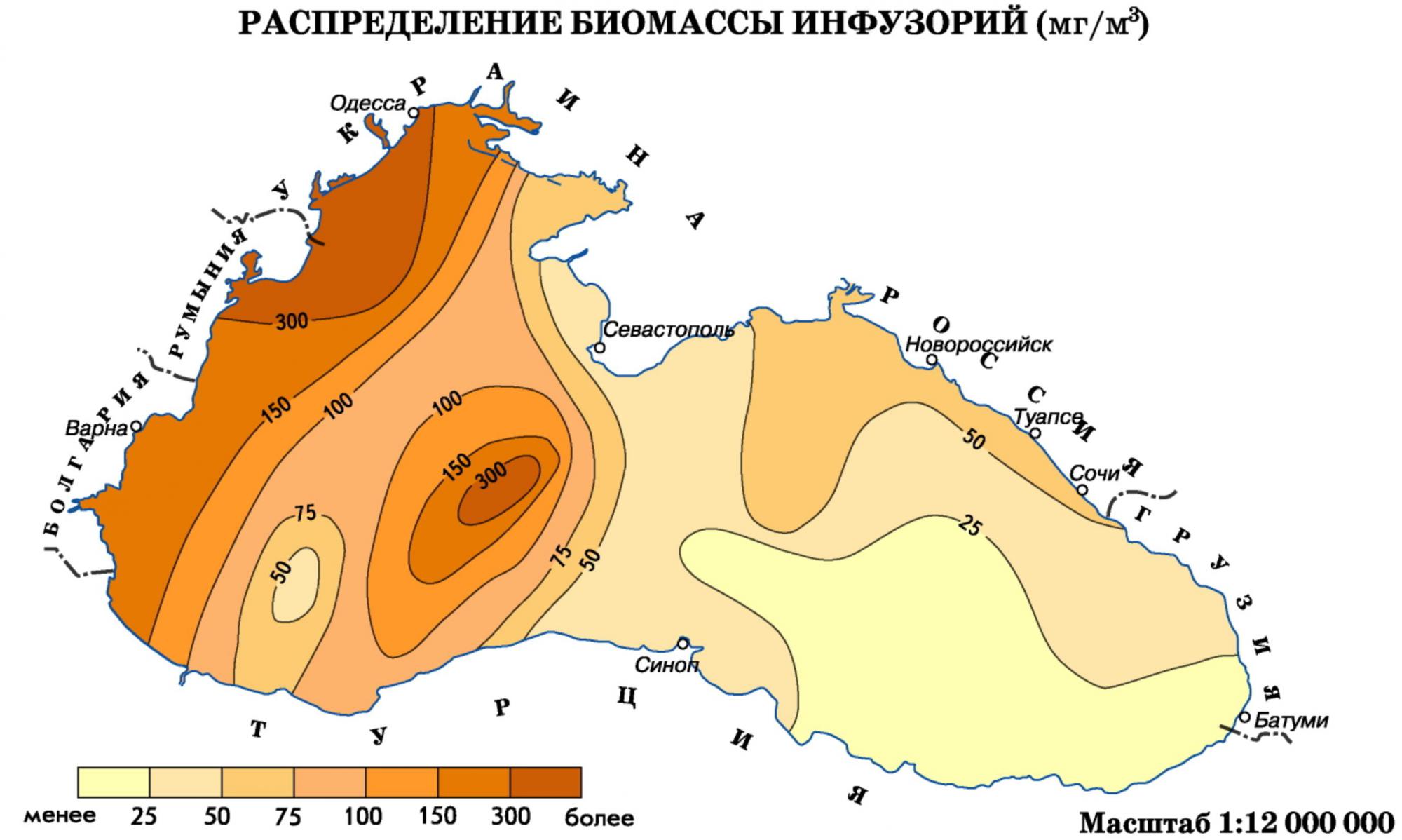 Температура черного моря сегодня новороссийск