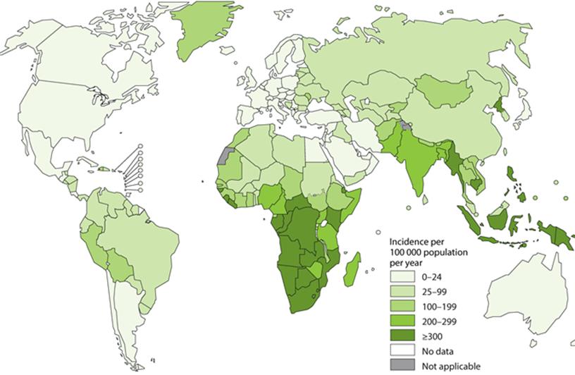 Туберкулез в европе. Распространенность туберкулеза в России 2023. Показатели заболеваемости туберкулезом в мире. Заболеваемость и распространенность туберкулеза. Распространение туберкулеза в мире.