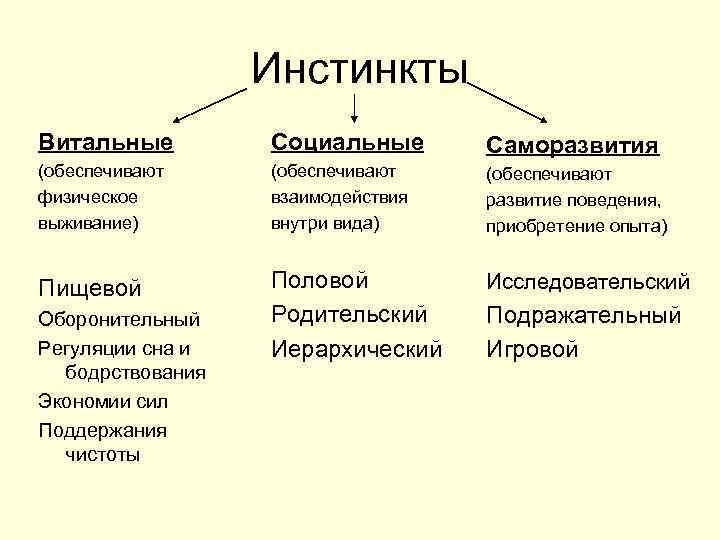 Instinct   Information Behavior Definition scheme  angle rectangle psychology png  PNGWing