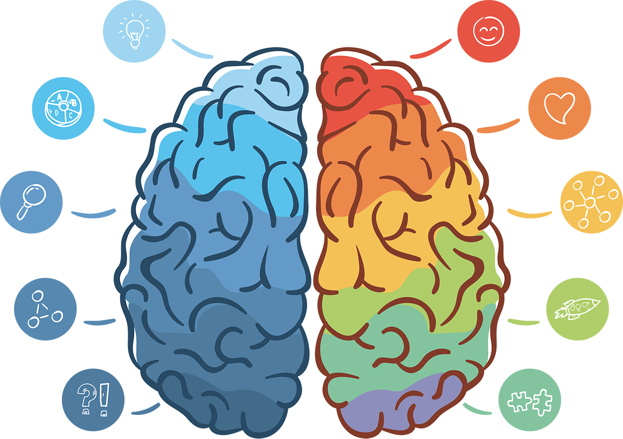 Речевое полушарие мозга. Левое и правое полушарие мозга. Мозг рисунок. Мозг векторное изображение. Полушария и эмоции.