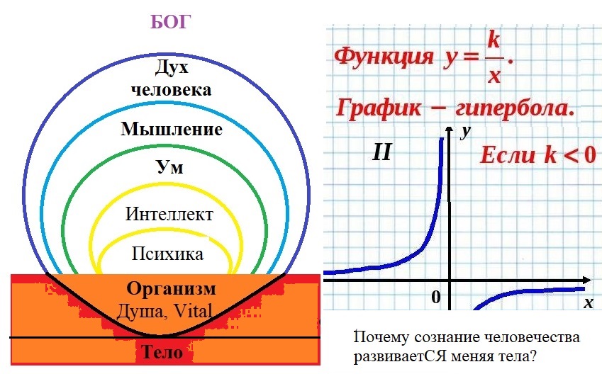 Теория Сознания. Новое содержание понятий (Коралл)