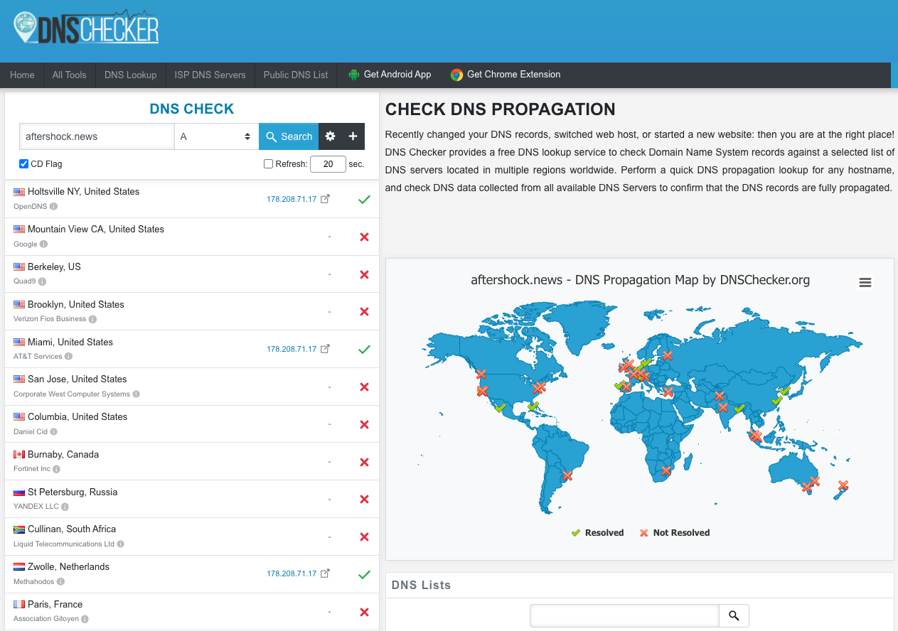 Check domain dns records