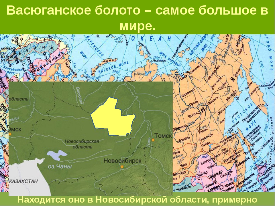 Края расположенные в сибири. Васюганские болота на карте России. Васюганское болото на карте Росси. Карта Сибири Васюганское болото. Большое Васюганское болото на карте.