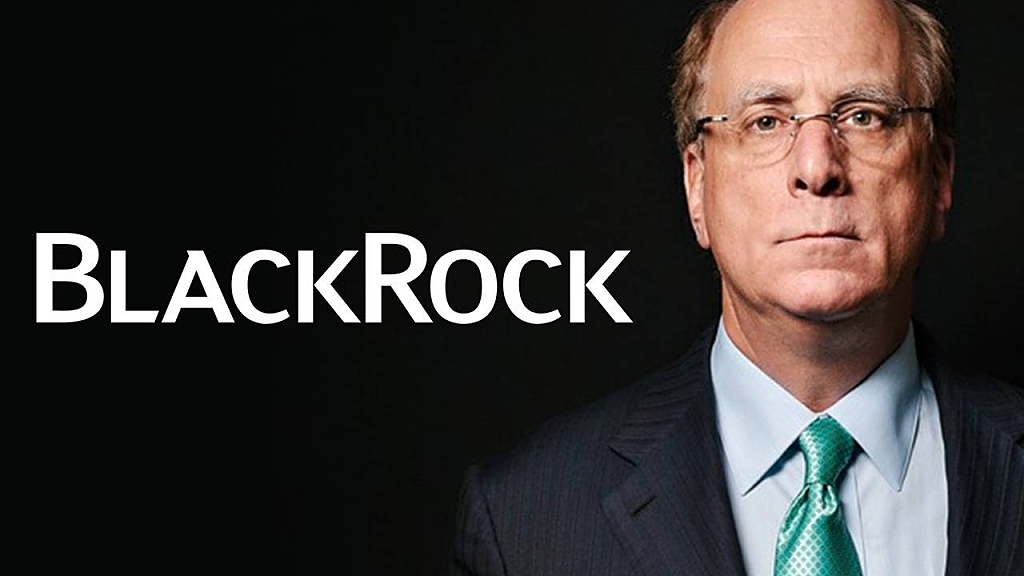 What Does BlackRock Own?