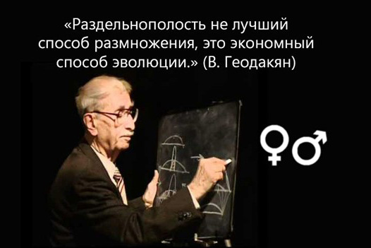 Секреты красоты в СССР: как советские женщины ухаживали за собой в условиях дефицита косметики