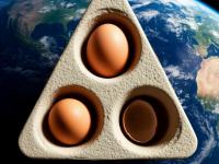 Лоток на 3,14