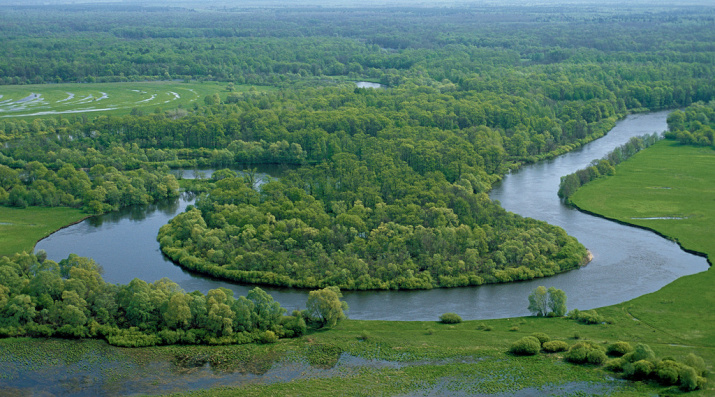 Река Десна ниже Брянска и водоохранные леса вдоль неё. Фото: Игорь Шпилёнок